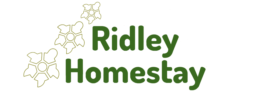Ridley Homestay